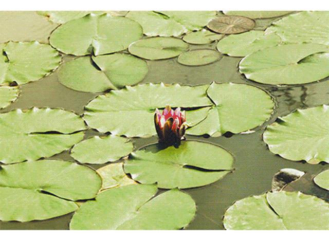 罗浮山浮生御温泉样子,罗浮山浮生六季民宿水上乐园