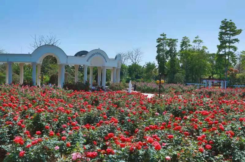 广州从化出游攻略,旅游广州从化乡村游热门目的地