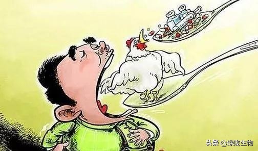 凝结芽孢杆菌的特点、作用机制及生物学功能