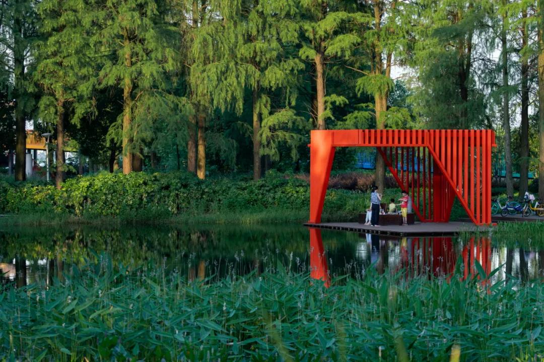 武汉华侨城湿地公园绿化,华侨城生态湿地公园武汉什么区