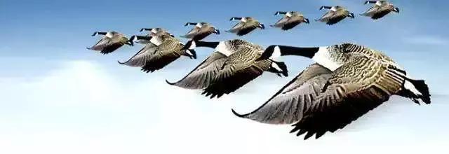 跟着八戒学编程,跟着八戒练体能