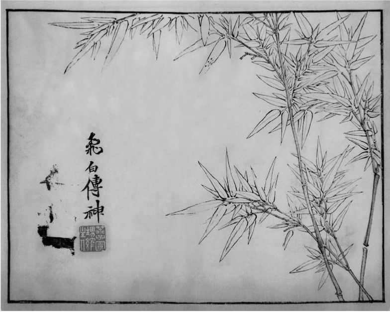 竹子的100种画法视频,超级简单的竹子画法你学会了吗