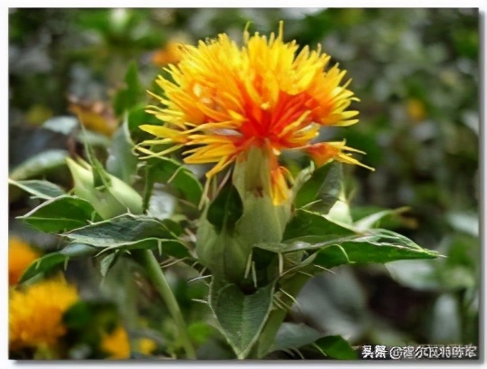 10种美妆变化史 (女性化妆为什么那么流行)