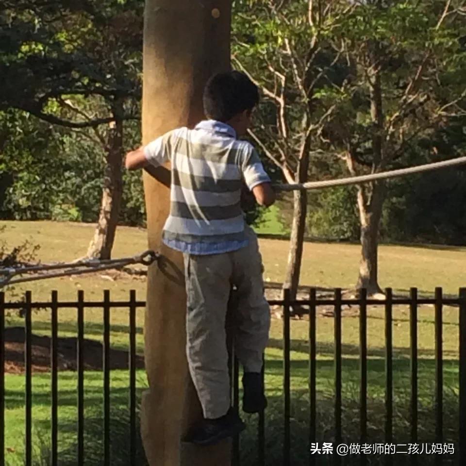 全球公认青少年最快长高方法,长高的关键在于