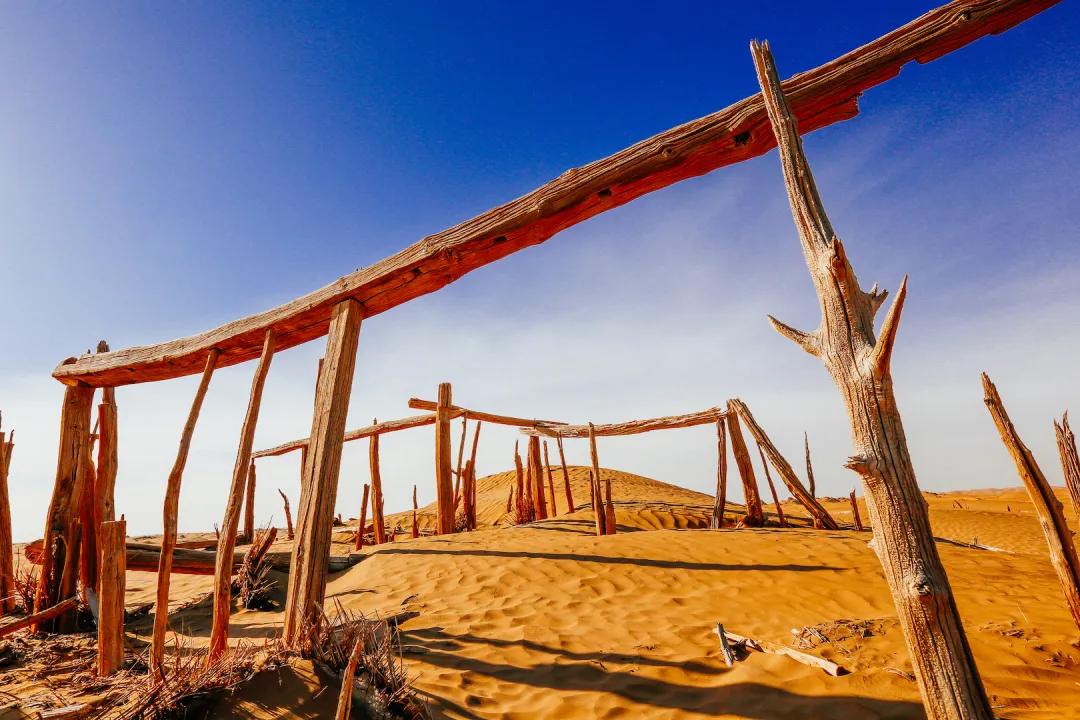 尼雅五星东方口碑,尼雅五星东方赤霞珠干红葡萄酒