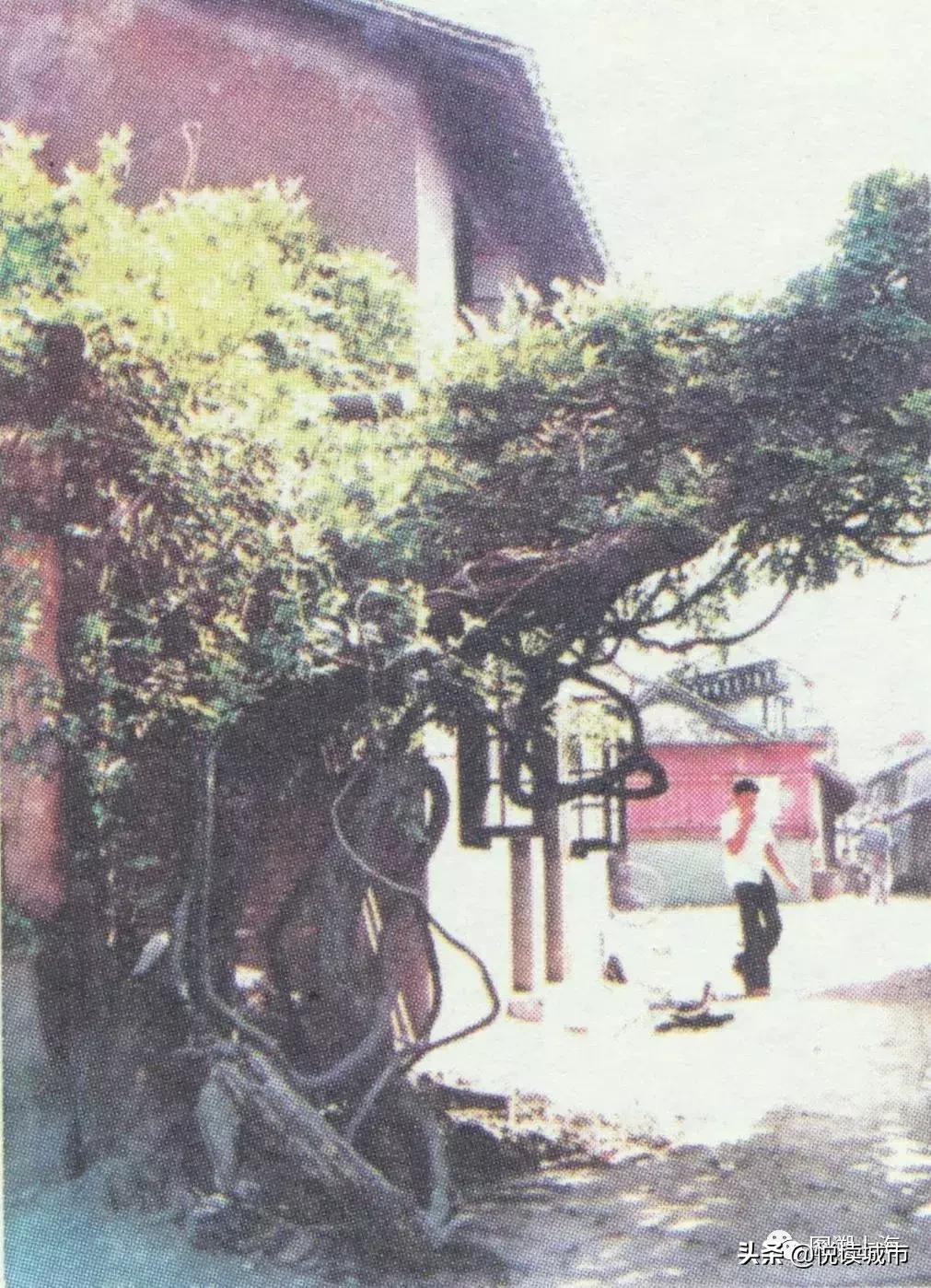 悦读城市浦东,悦读城市上海