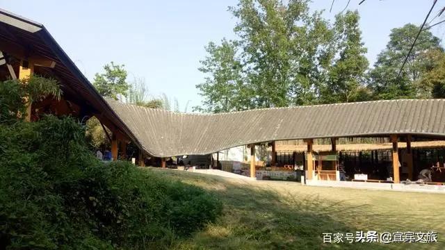 国内赏竹,中国人赏竹