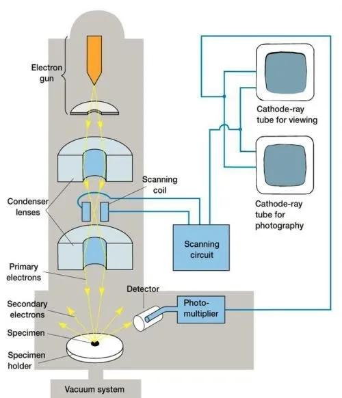 sem扫描电镜原理及应用,sem扫描电镜分析的作用