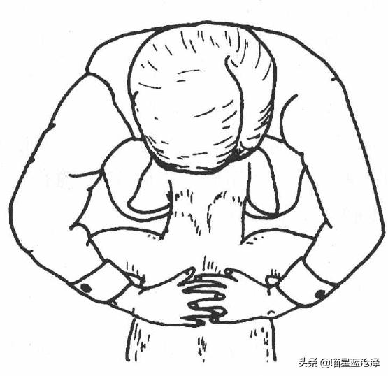 铲屎官要听懂的猫咪求救,铲屎官猫咪的急救信号