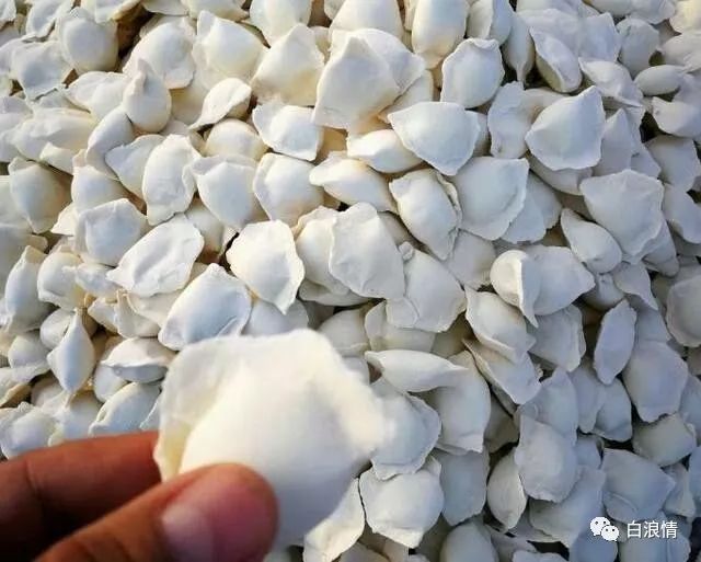 家乡过年的风俗,家乡过年的风俗的英语