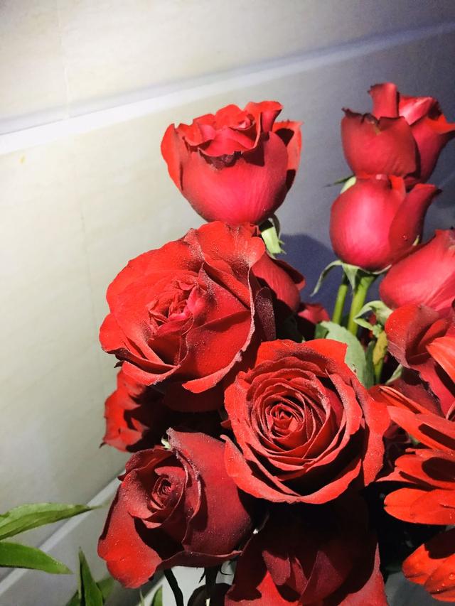 那些月入几万的工作,一个全职太太在家做点什么能赚钱