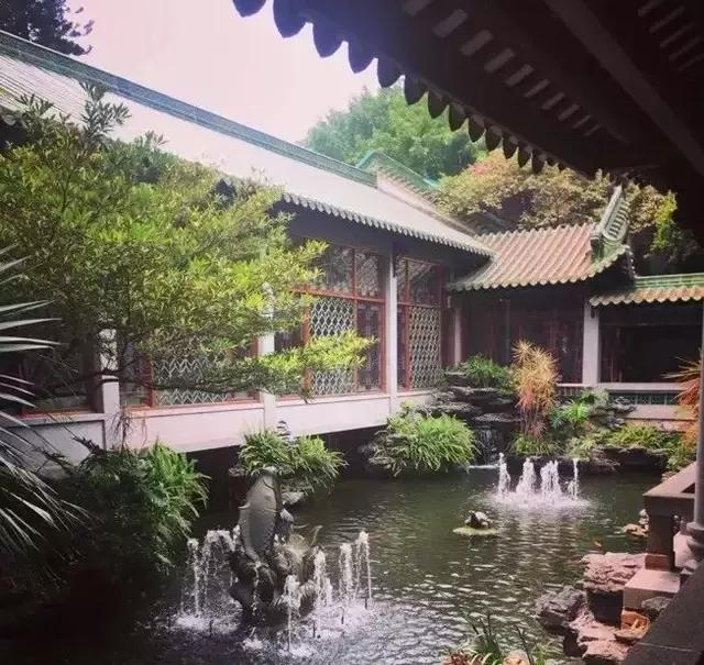 广州老字号早茶本地人推荐,广州老字号早茶排行榜