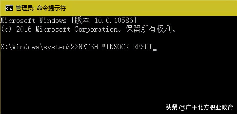 windows11浏览器打不开,windows10的浏览器无法加载