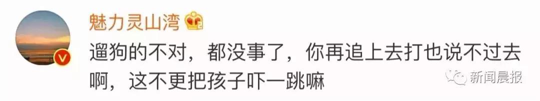遛狗不牵绳算野狗吗,遛狗不牵狗绳咬伤别人怎么办