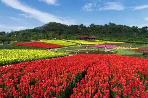 奖金5万！邀您为宜宾写首歌！让我们一起听宜宾的故事