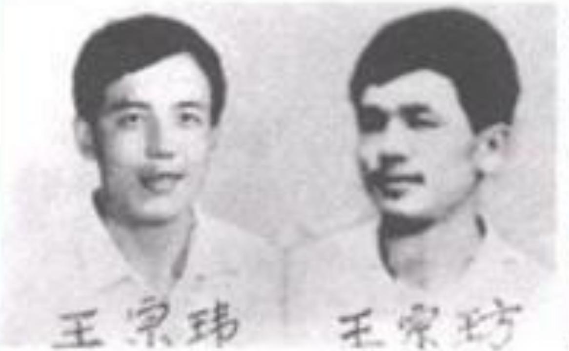 东北二王特大杀人案全集,东北二王杀人案详解