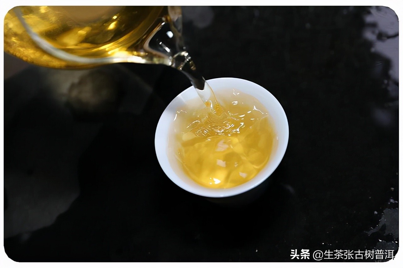 古树普洱茶有哪些品质,什么叫普洱茶古树