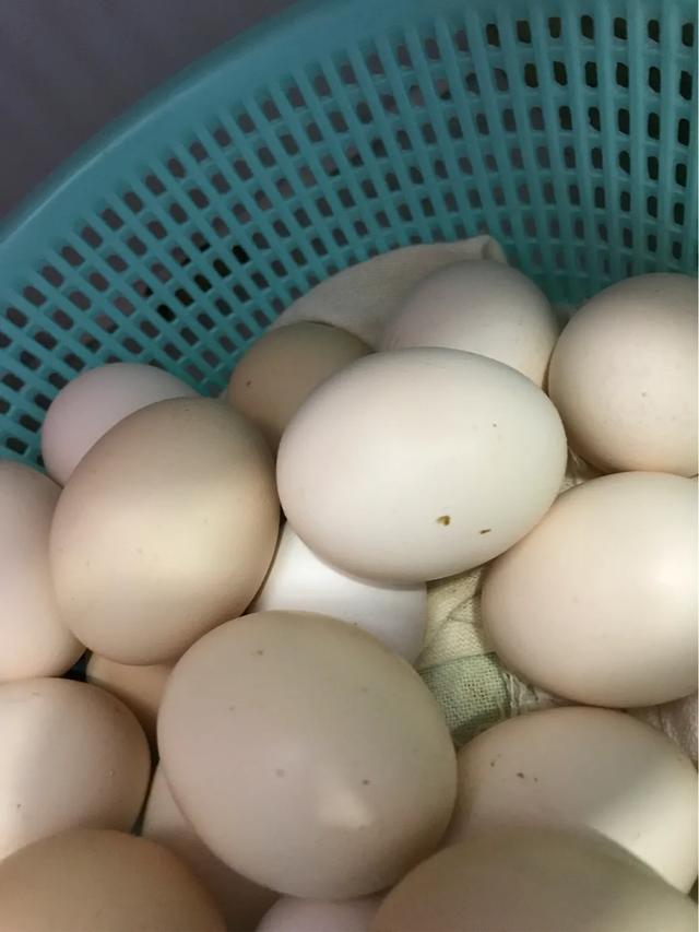 轻松带娃的30个小窍门,轻松掌握生活小窍门