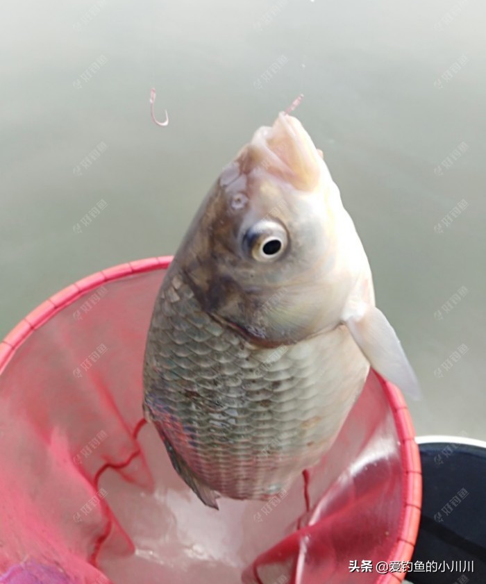 聊下找口与抓口的问题个人见解