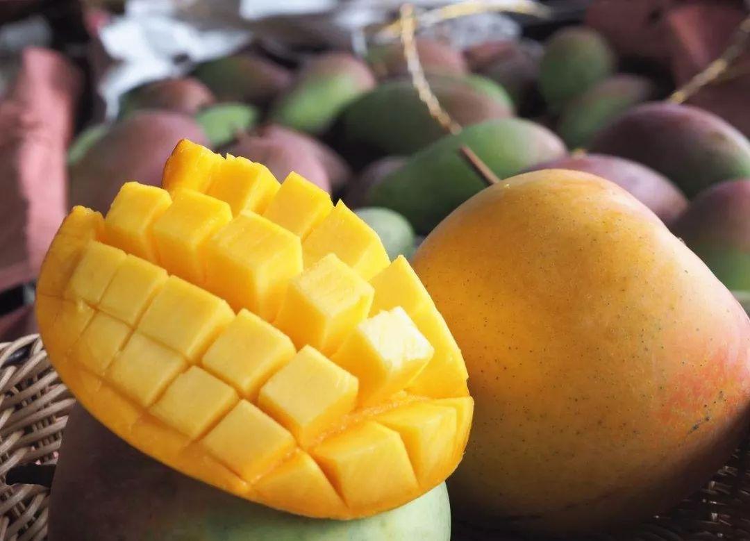 贵妃芒大青芒金煌芒选哪个,小台农芒果和贵妃芒哪个更好吃