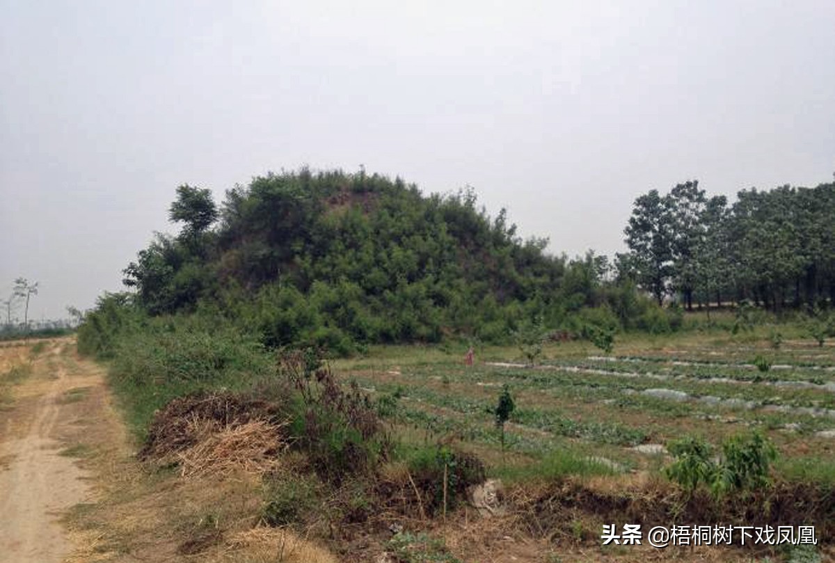 利用风水盗墓的高人,中国盗墓高手看风水挖坟