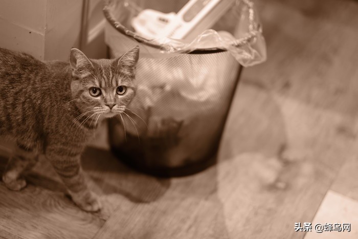 富士x-t30markii测评,富士x-t3深度评测