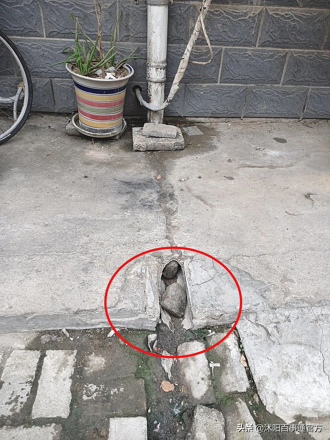 实验小学可怕案件,沭阳实验中学最近发生的事情