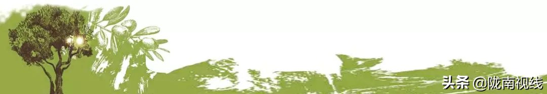 央视橄榄油广告,央视广告道道全菜籽油