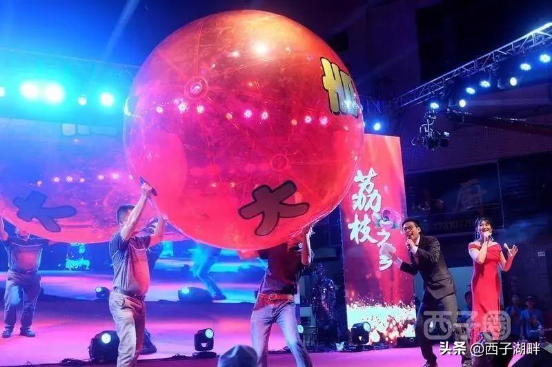 惠州镇隆荔枝什么品种,惠州镇隆自摘荔枝在哪