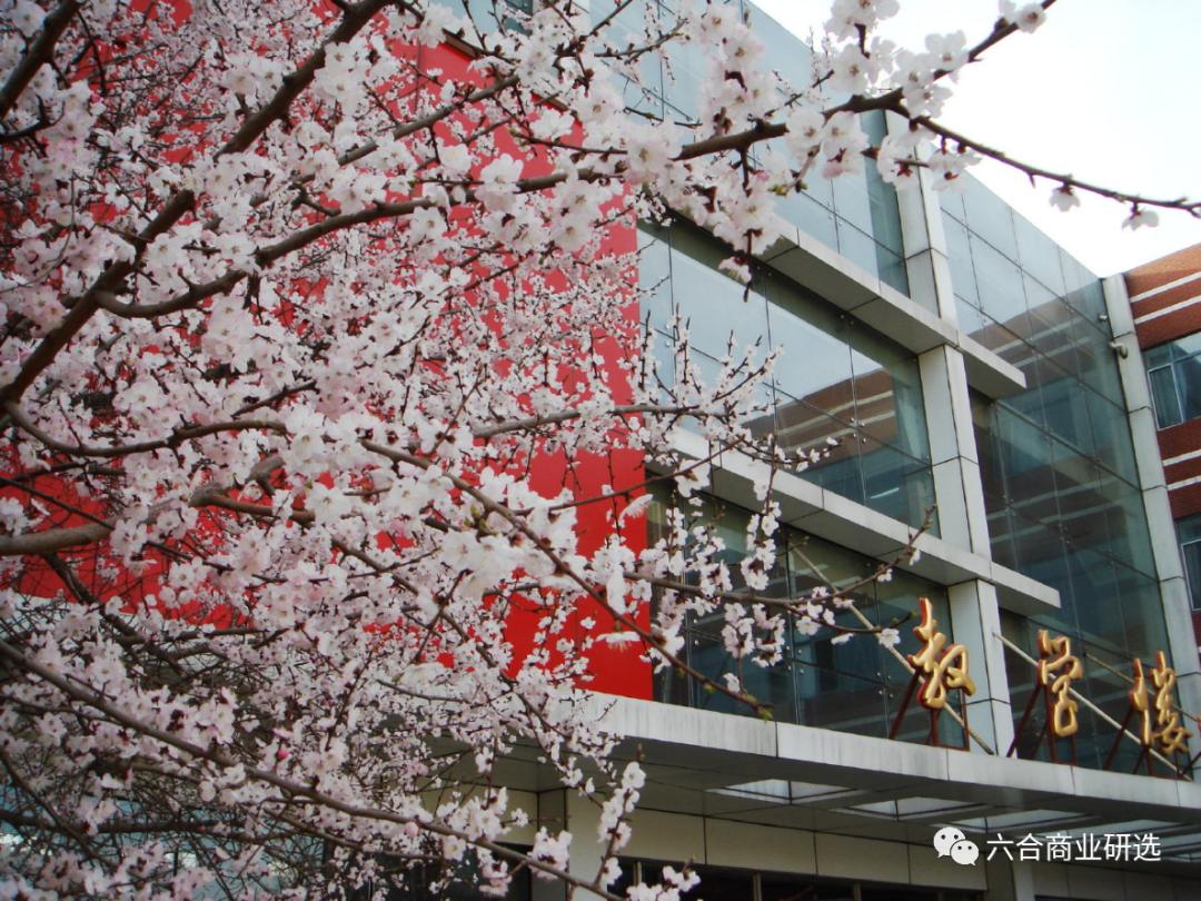 2021回乡见闻录全部视频,2023返乡见闻