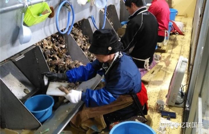 日本出国劳务打工的真实经历,去日本劳务一个月能挣多少