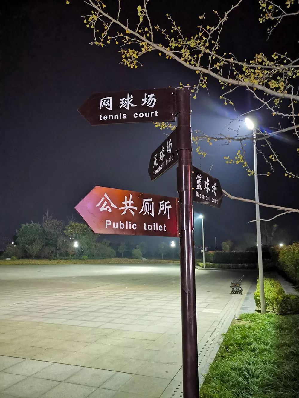 郏县体育场有啥玩的,郏县鸟巢体育馆