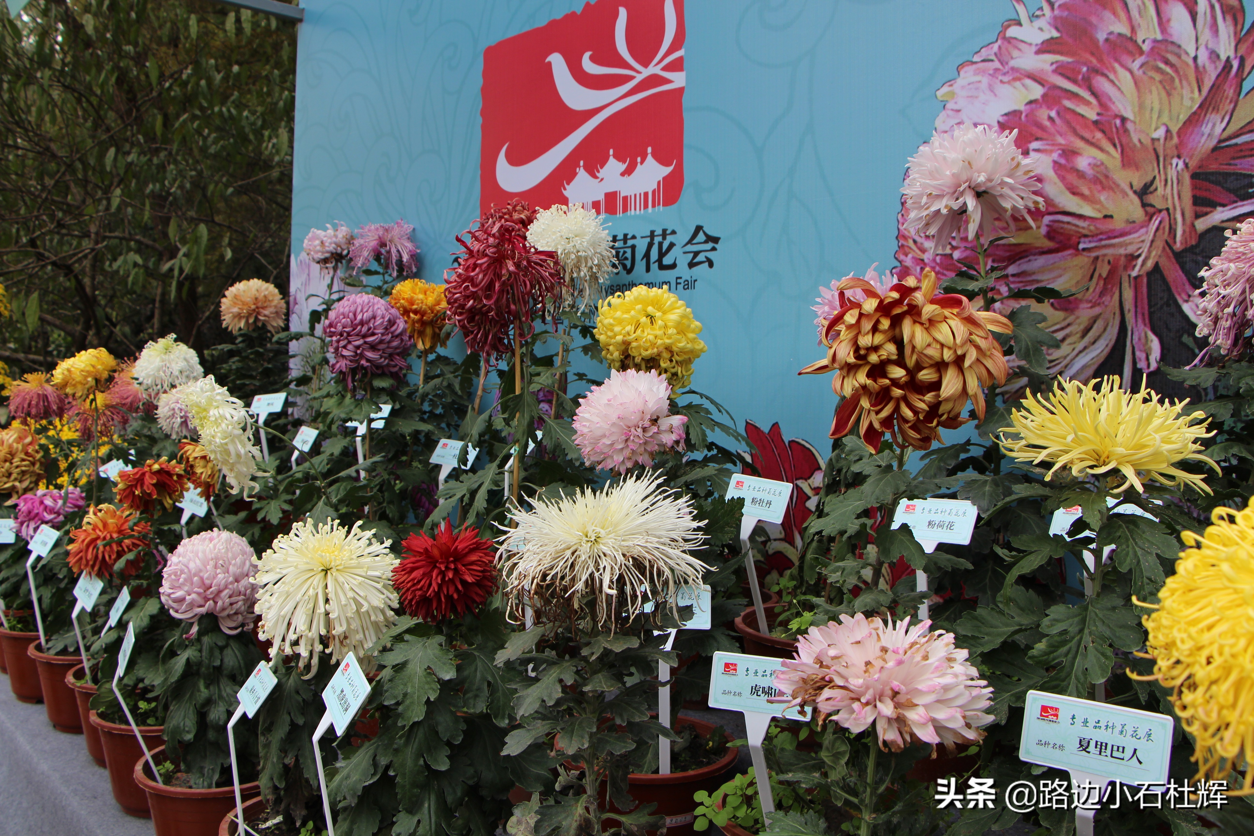 扬州瘦西湖之行,扬州瘦西湖游一圈