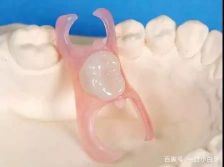 大熊猫戴牙套,大熊猫的牙齿能不能矫正