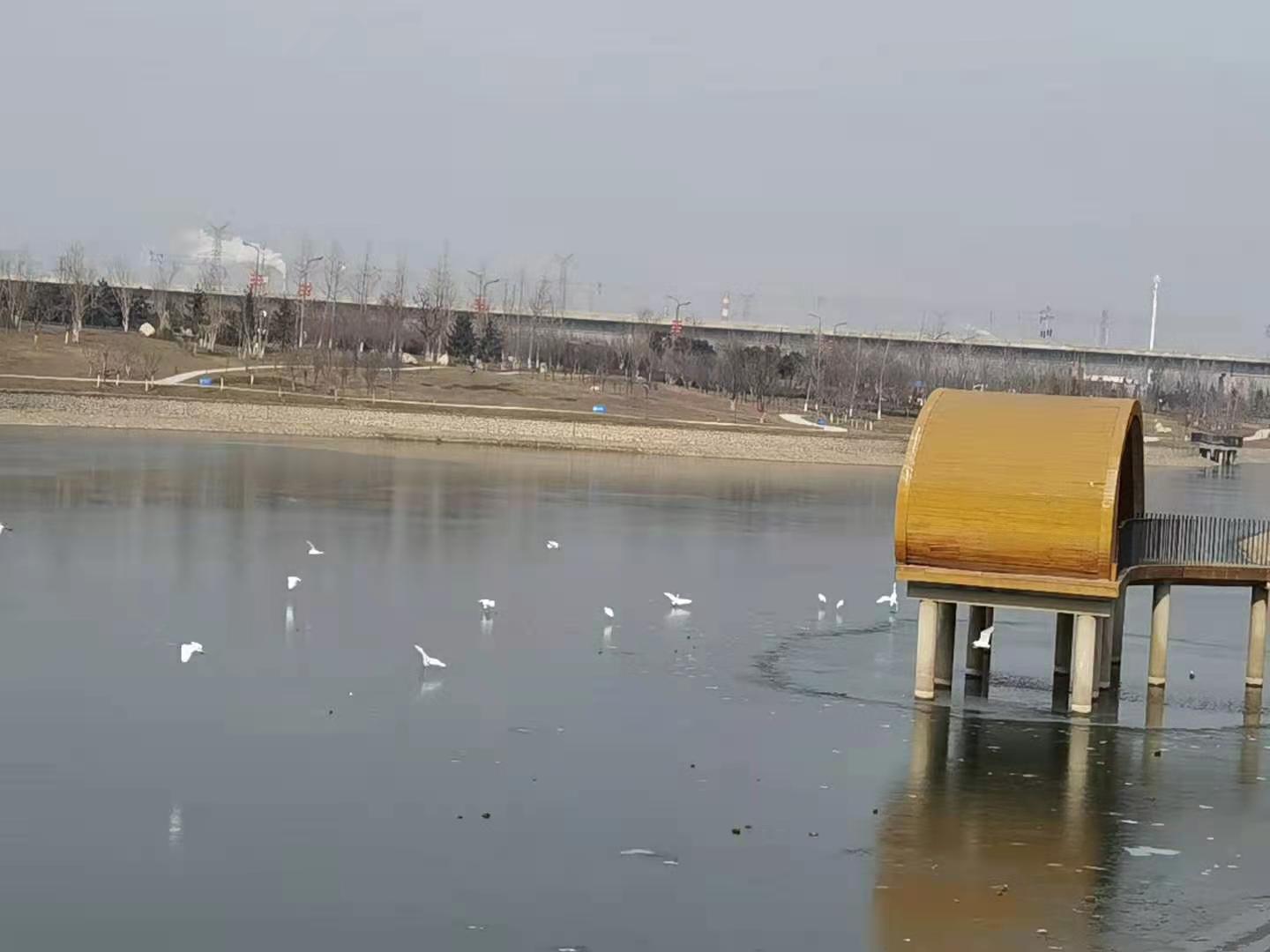 渡边淳一何处是归程,渡边淳一怎么样