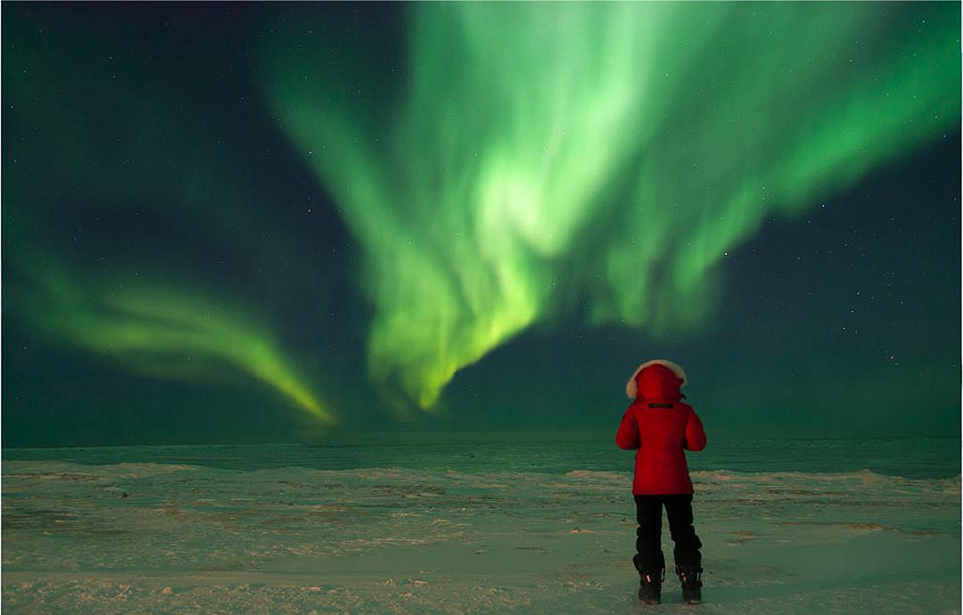 北极海冰融化怎么办,海冰融化