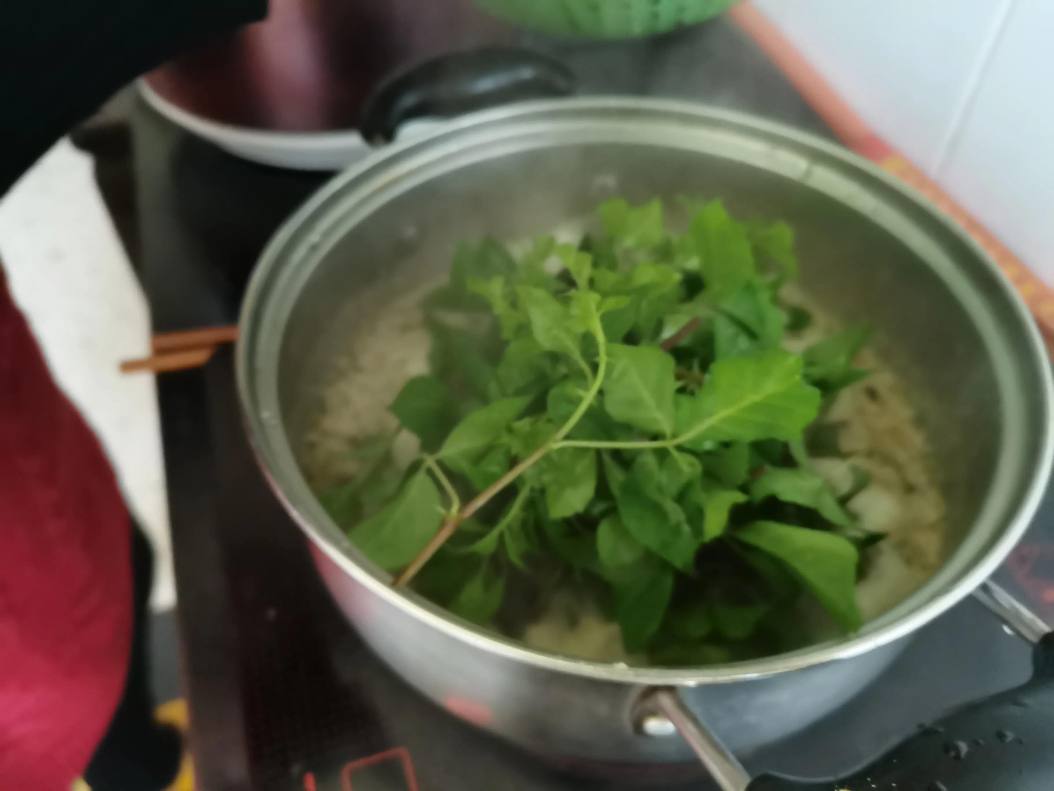 苦刺心的功效与作用图片,潮汕苦刺心的功效及作用