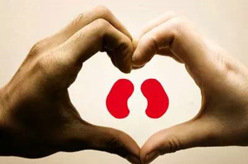 男人强身健体秘方,男人补肾补气的最佳食补