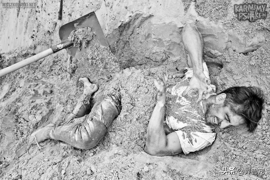 当宠物生病治疗费用太高,宠物生病治疗费有多昂贵