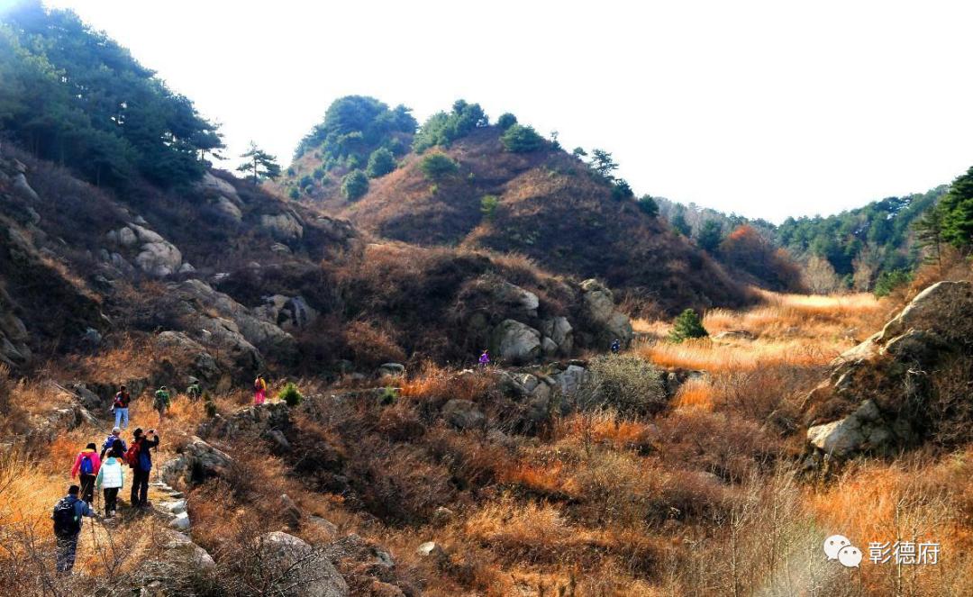 太行山风化石,太行山林石
