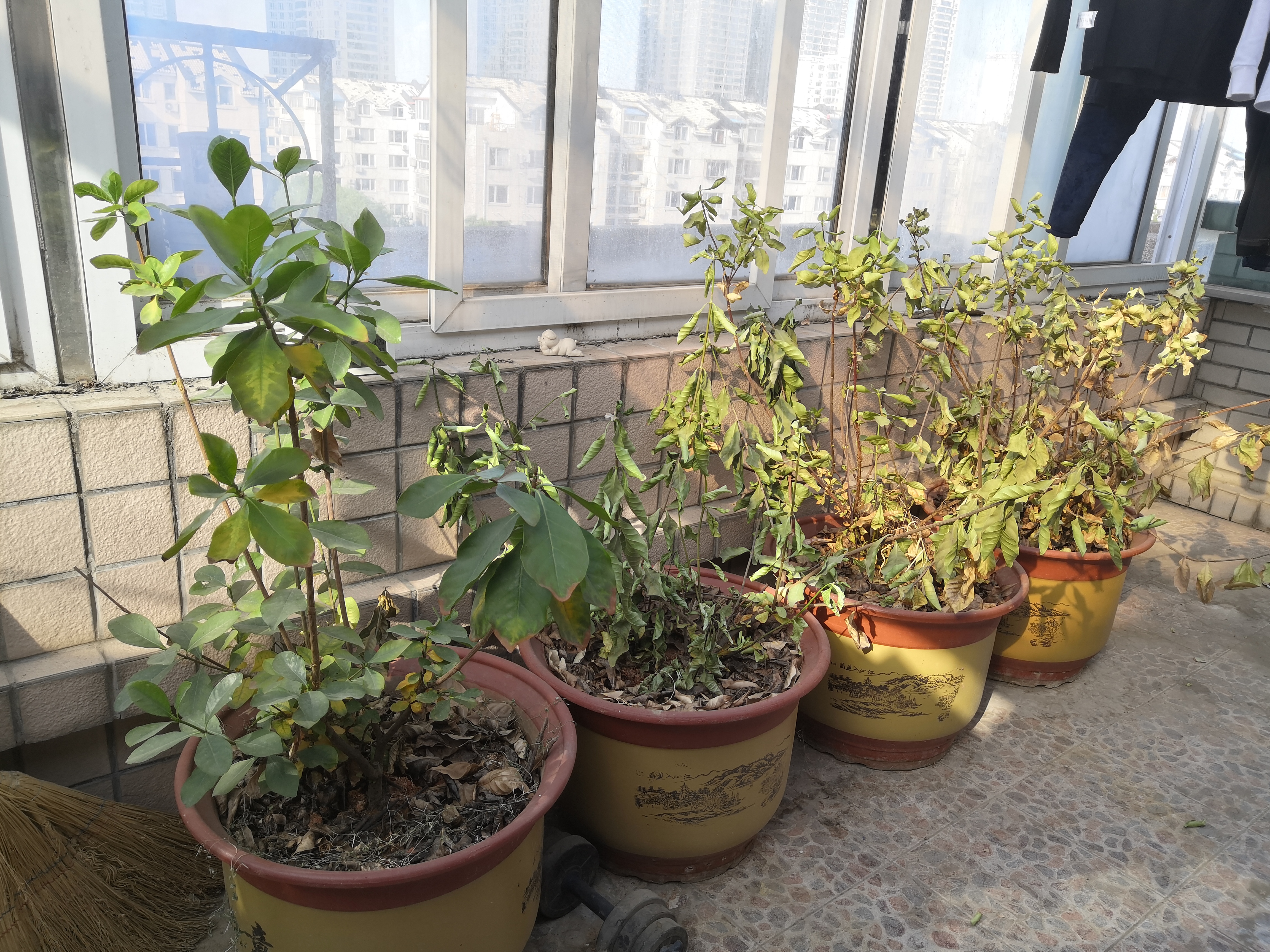 在湖北云梦全程参与抗疫整整三个月，回北京后再次抗疫