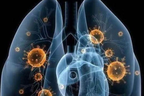 阿里京东最新信息,阿里和京东最新的消息