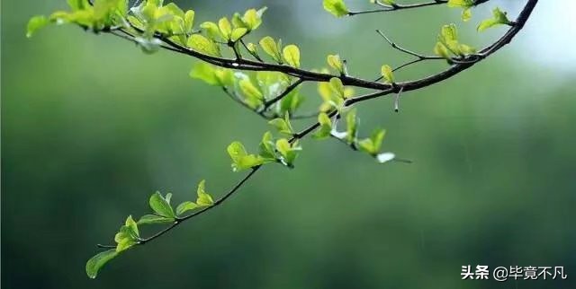 关于清明节的古诗词朗诵,清明节的童谣俗语古诗词