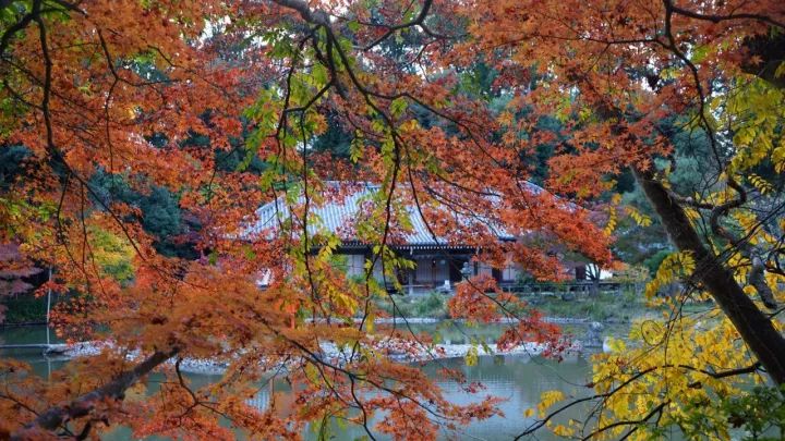 何必去远方原唱视频,何必去远方京都在左常熟在右