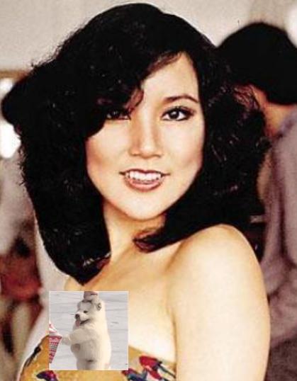 一代*星艳**遭封杀、被出轨，还毁容，69岁却重新光芒万众