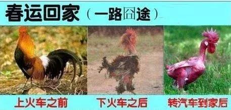 抢不到车票有没有其他的回家办法,春节回家抢票难怎么办啊