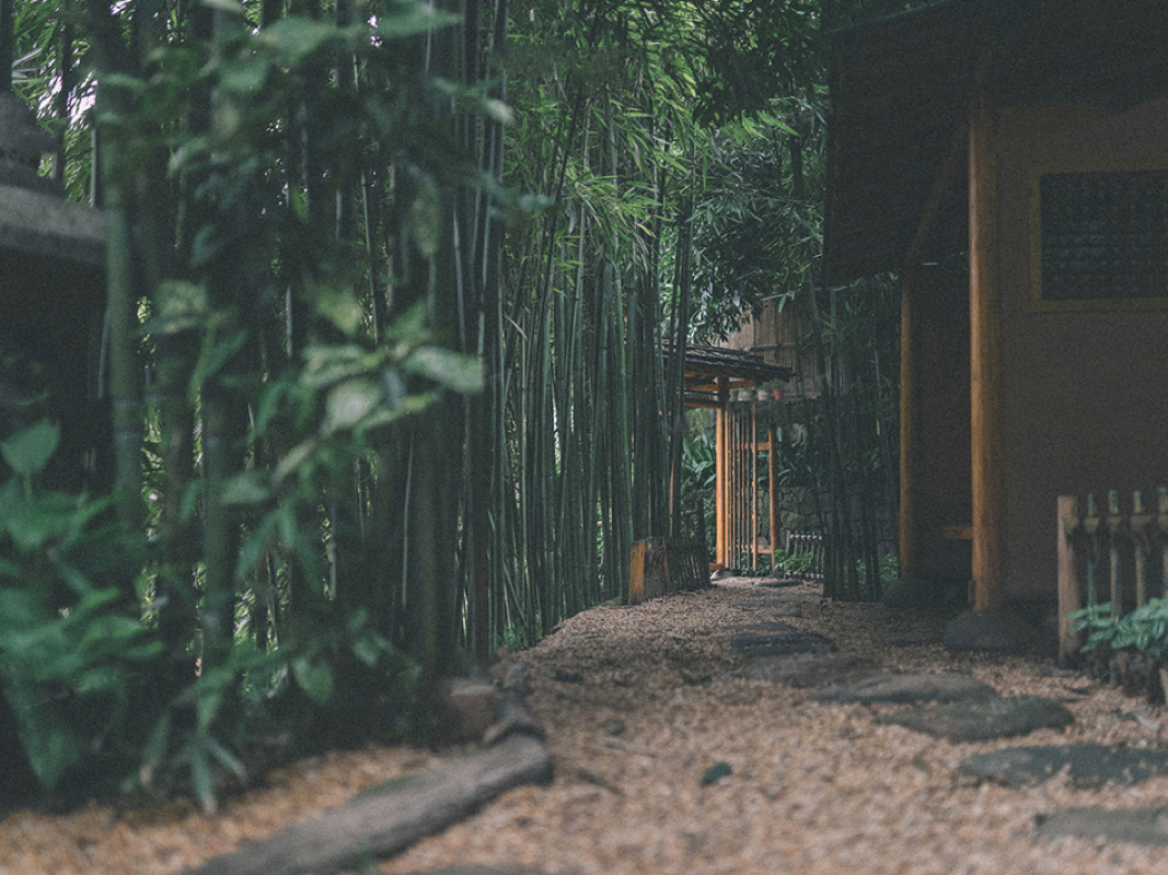 重庆冷清公园,重庆历史悠久的鹅岭公园