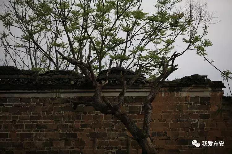 永州东安横塘周家大院,东安横塘周家大院