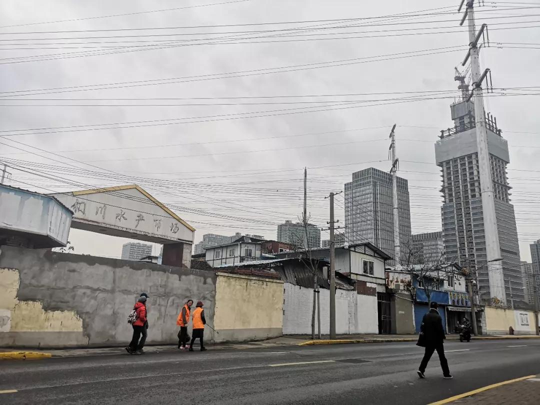 上海真如来历,上海真如发展前景