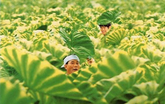 晒黑在今年夏天成为一种新时尚，外国友人纷纷把自己晒成“条纹”